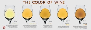 Kleuren witte wijn volgens Wine Folly